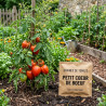 Graines de Tomate Petit Coeur de Boeuf - Sans traitement