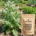Graines de Bourrache officinale Blanche - Vilmorin