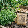 Graines de Cresson de Jardin - Sans traitement
