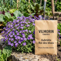 Graines d'Aubriete Roi des bleus - Vilmorin