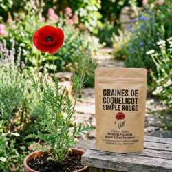 Graines de Coquelicot simple rouge