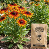 Graines de Rudbeckia Cappucino - Vilmorin