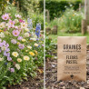 Graines en mélange de Fleurs - Fleurs Pastel