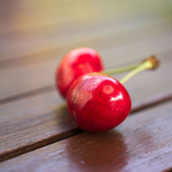 Cerisier Bigarreau Cœur de Marmotte