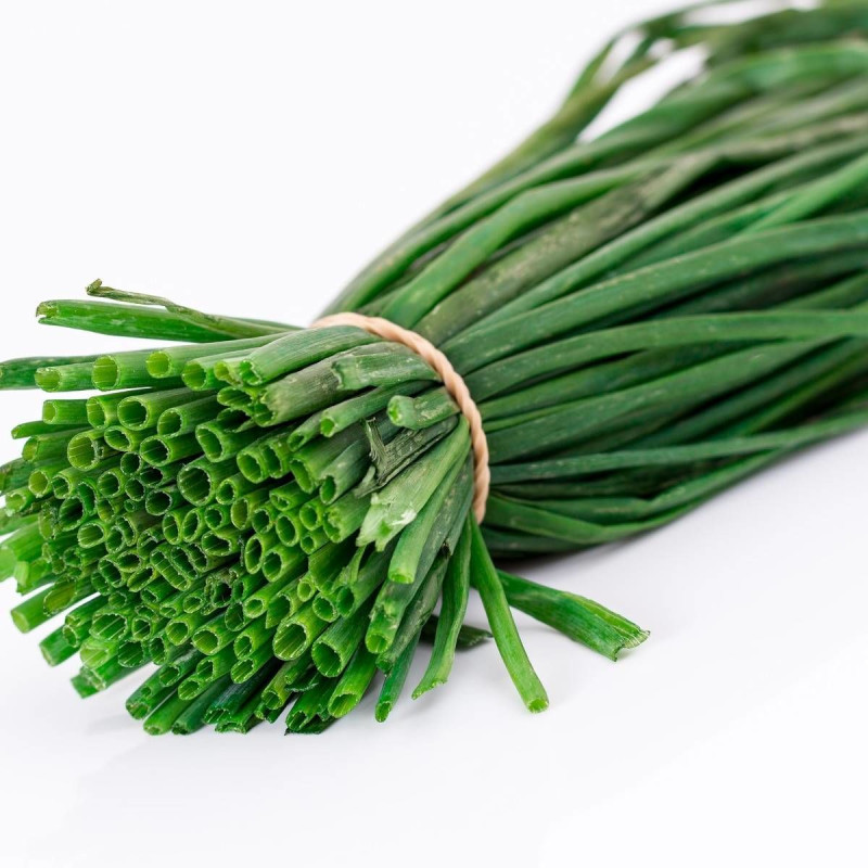 Ciboule fistulosum
