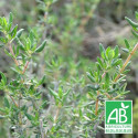 Thym commun vulgaris BIO