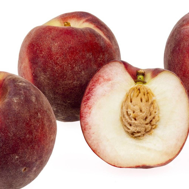 Pêcher racines nues Andromède® 'Zaidrome'