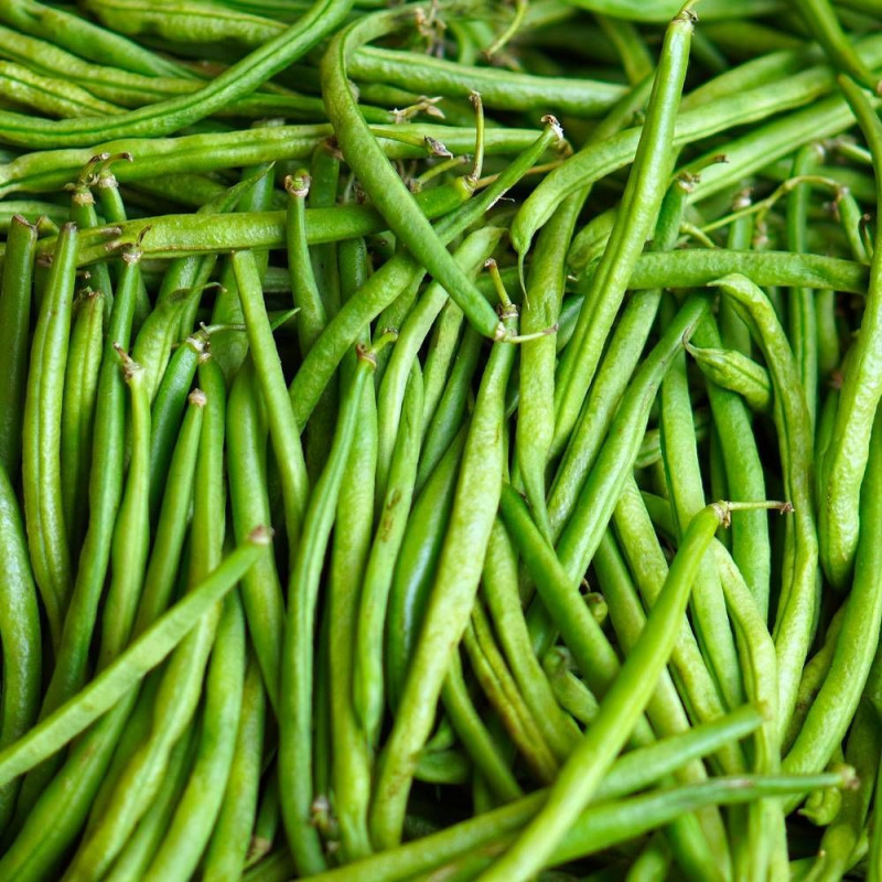 Graines de Haricot Nain mangetout Delinel