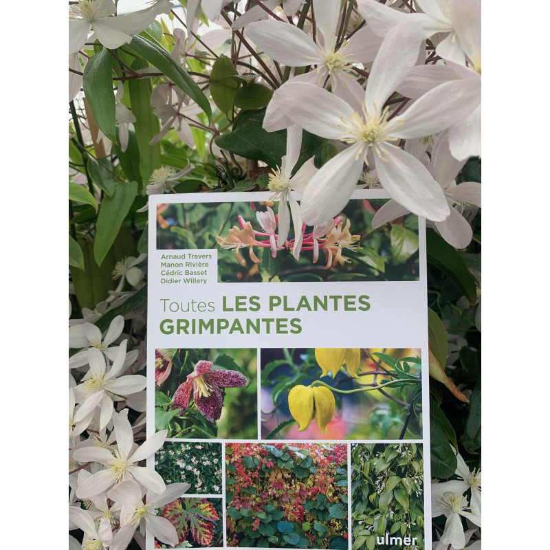 Livre "Toutes les plantes grimpantes"