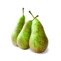 Poirier nain Pearlite - Nains de jardins®