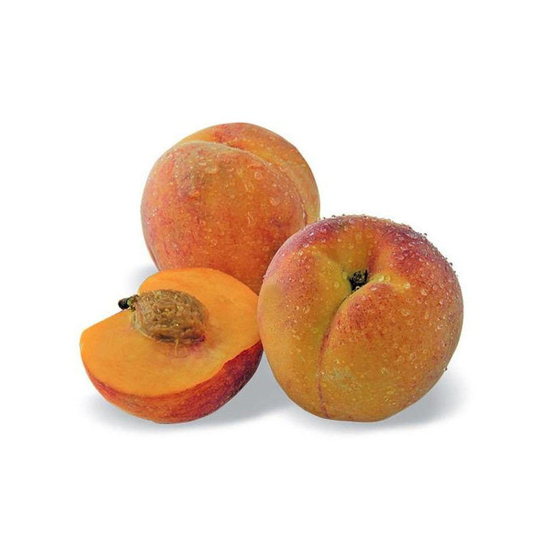 Pêcher nain Pêche de poche - Nains de jardins®