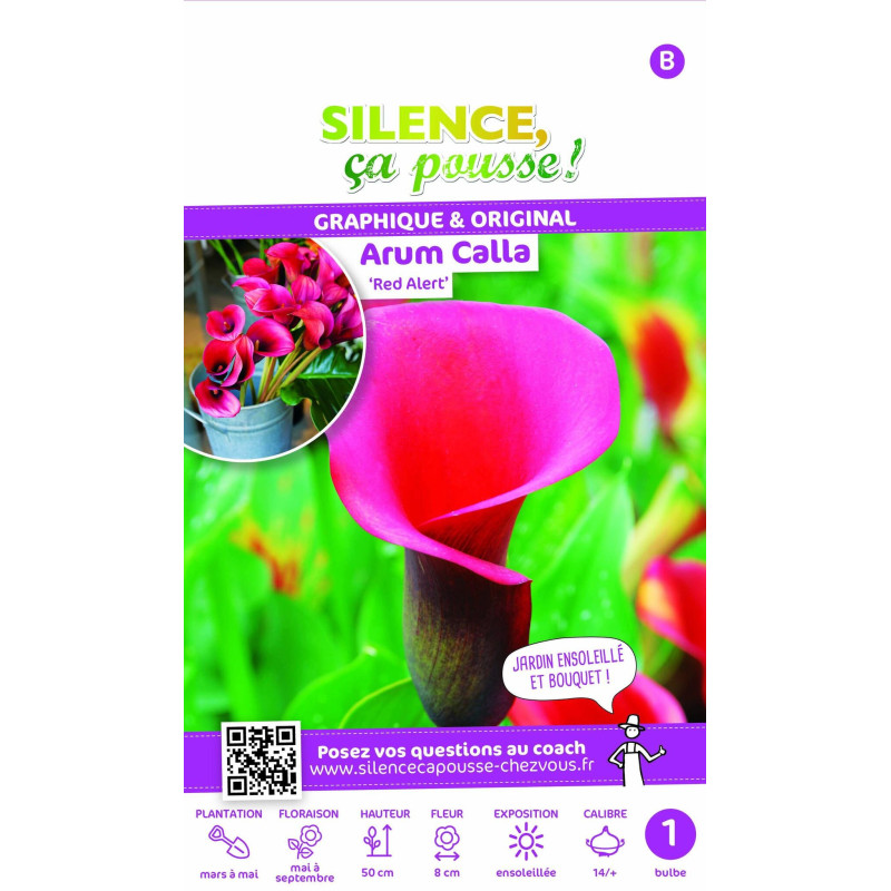 Bulbe d'Arum Calla Red Alert