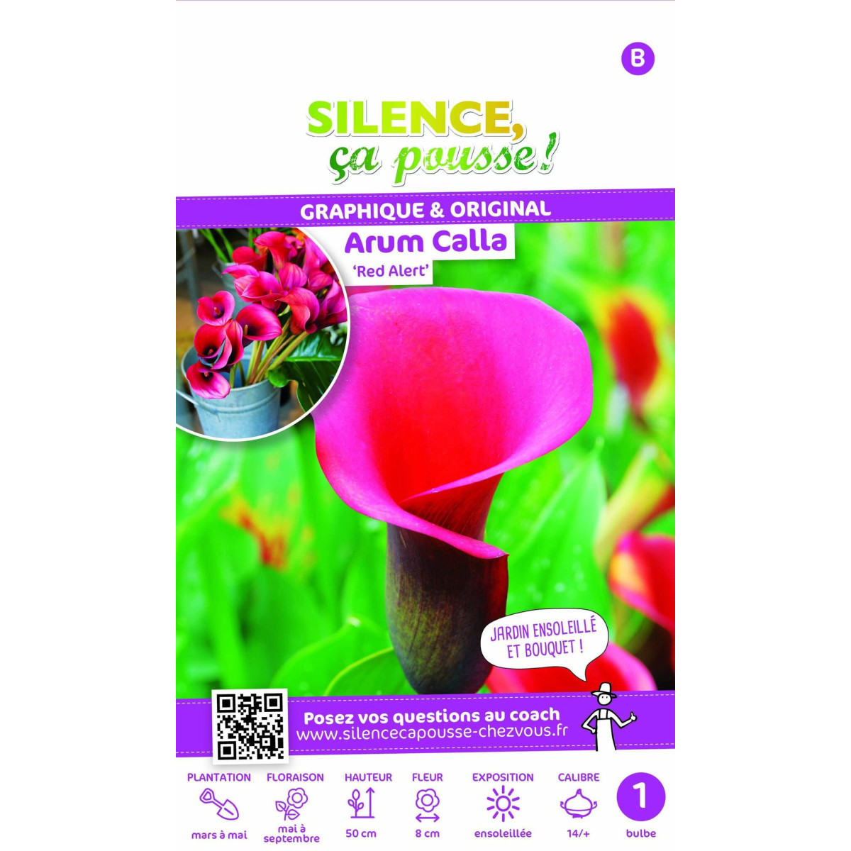 Arum Calla Red Alert