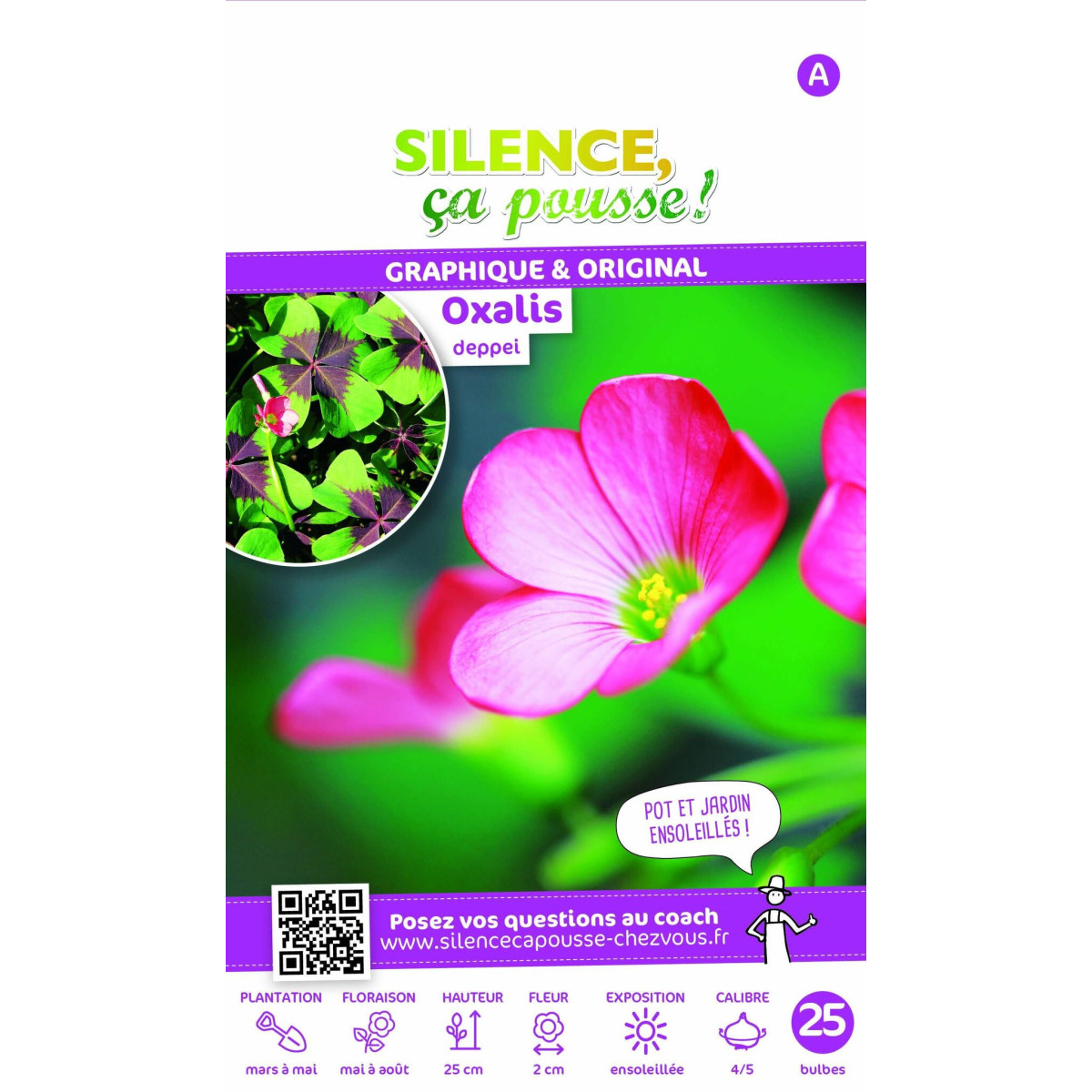 Faux trèfle à quatre feuille