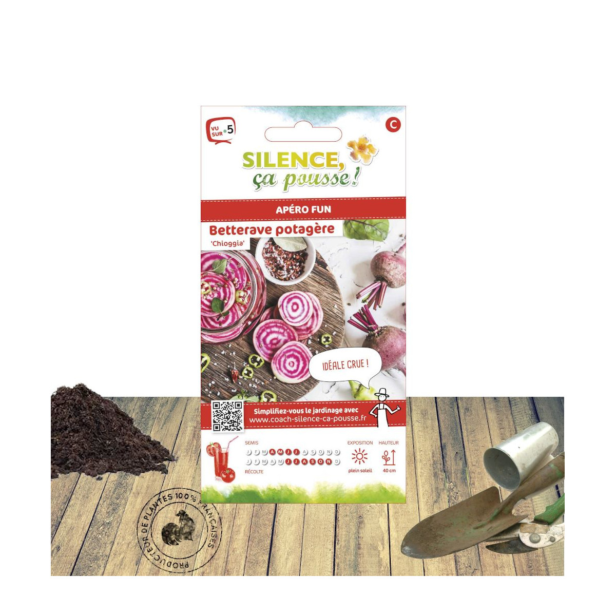 Graines de betterave Chioggia