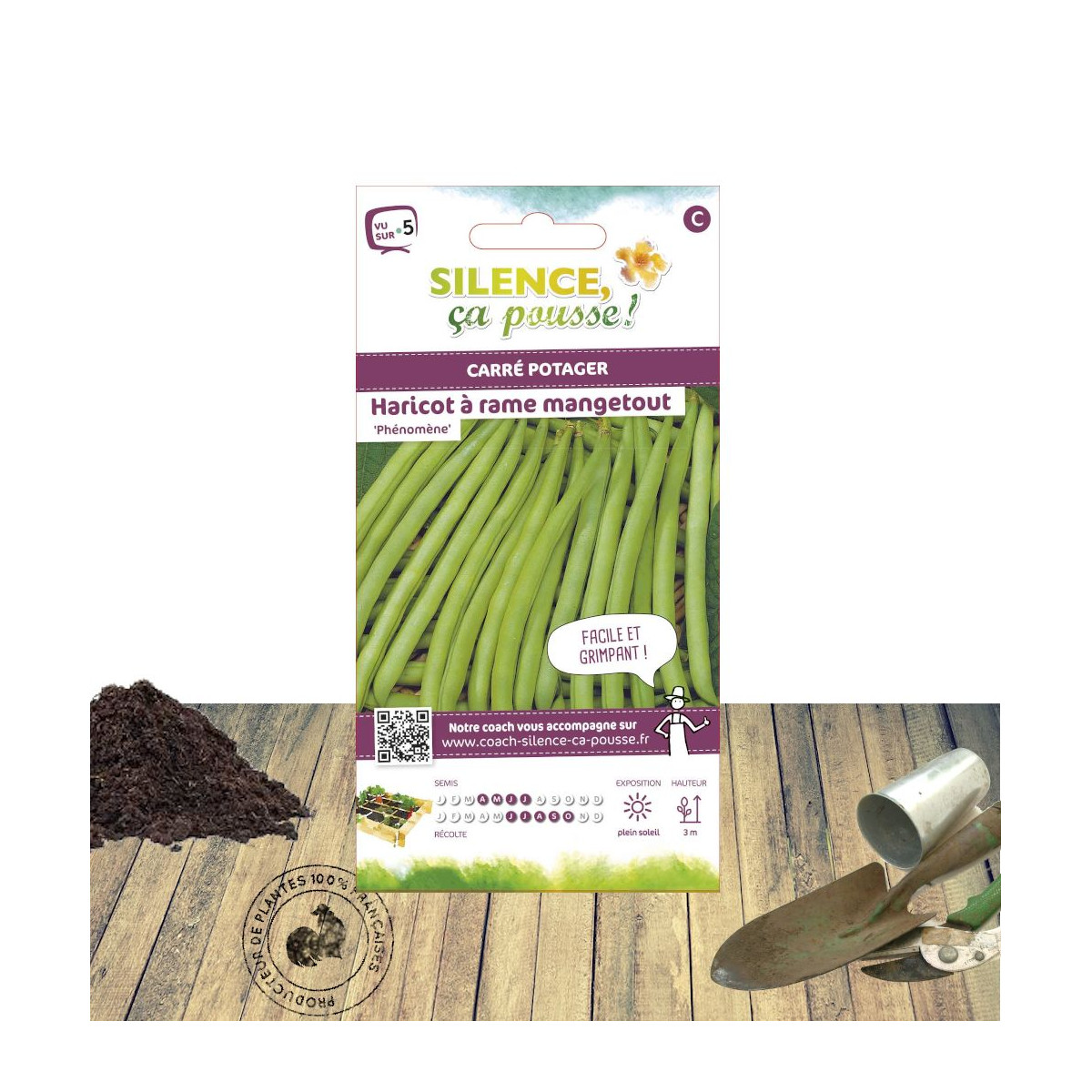 Graines de Haricot A rame mangetout Phénomène Graines de Haricot A rame mangetout Phénomène