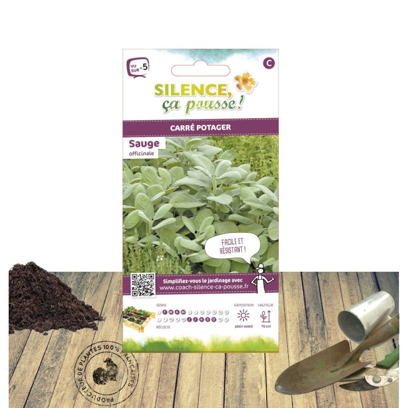 Graines de Sauge officinale