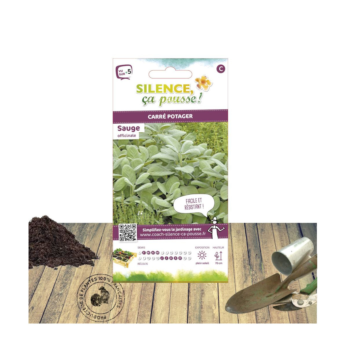 Graines de Sauge officinale Graines de Sauge officinale