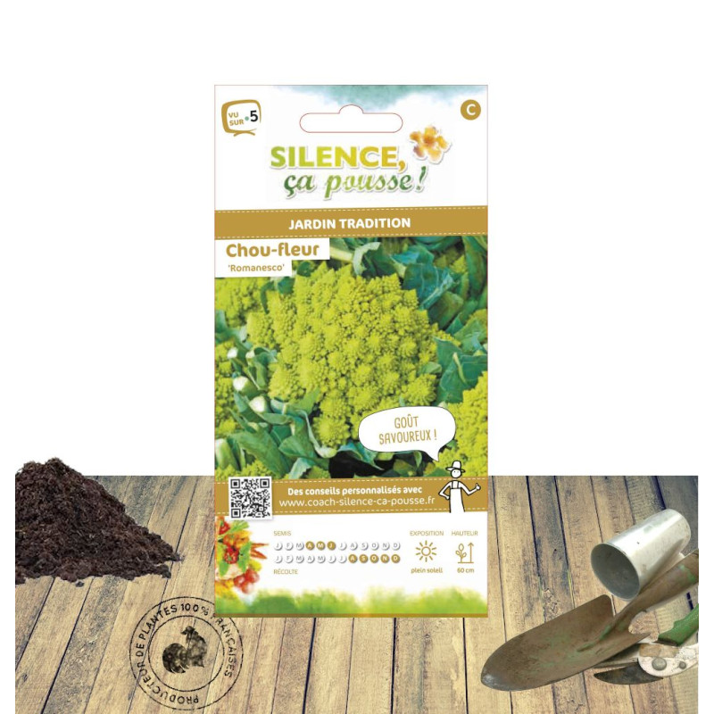 Graines de Chou Romanesco