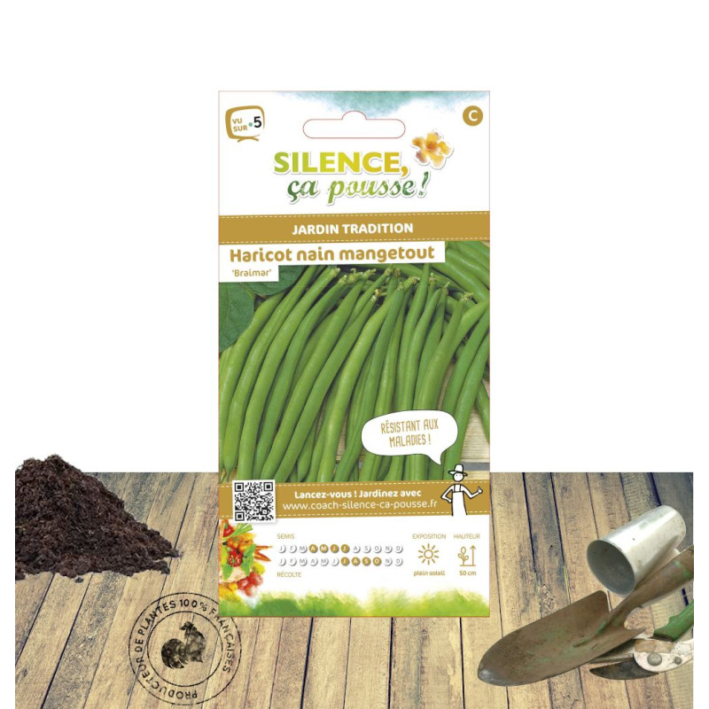 Graines de Haricot Nain mangetout Braimar