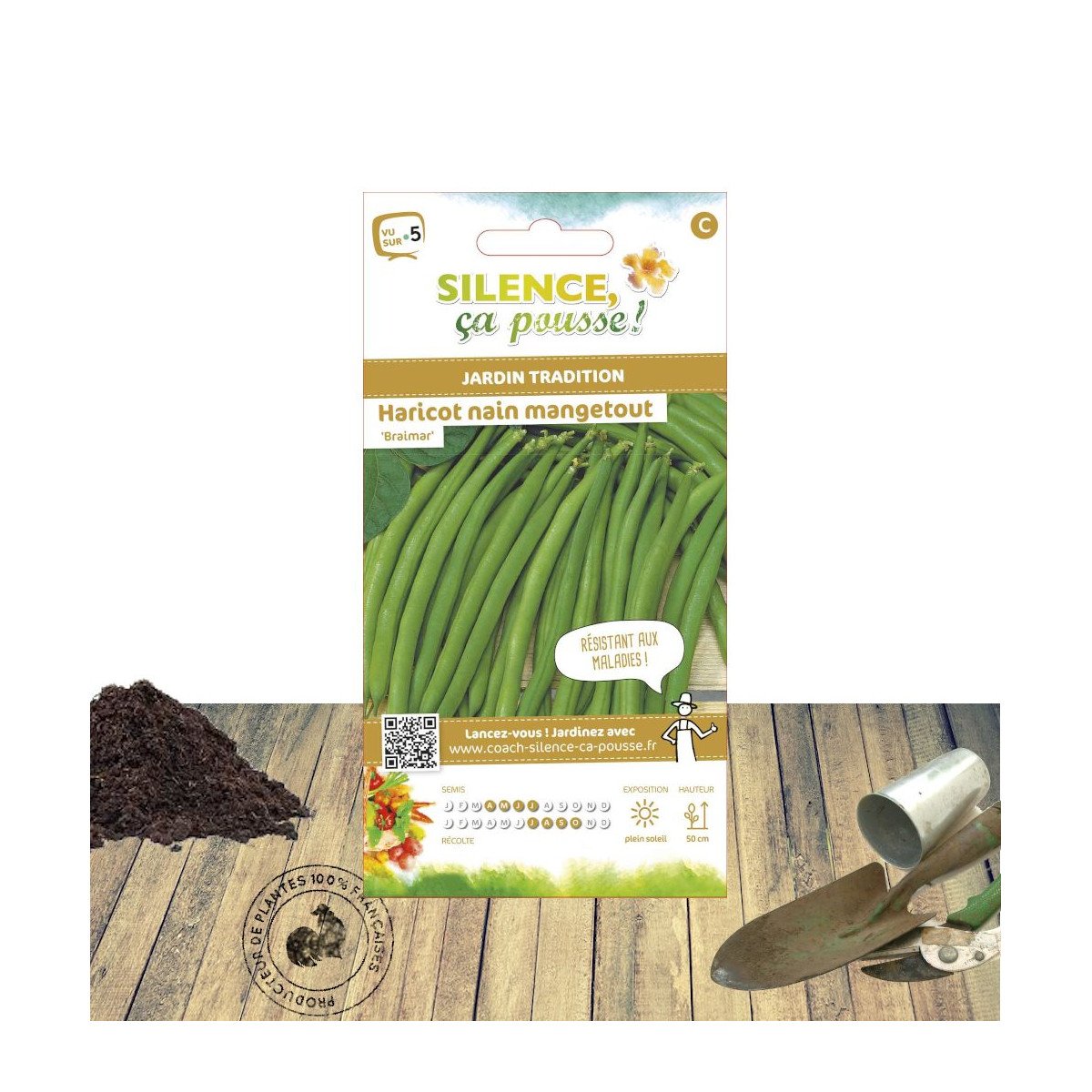 Graines de Haricot Nain mangetout Braimar Graines de Haricot Nain mangetout Braimar