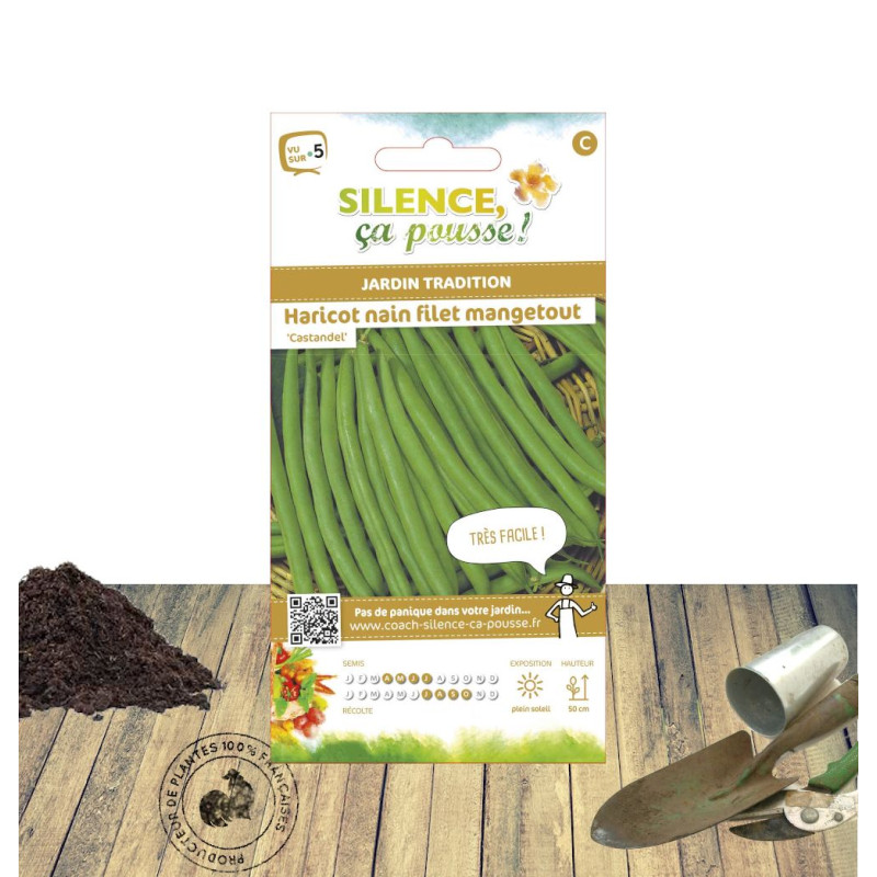Graines de Haricot Nain mangetout Castandel