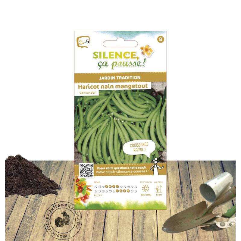 Graines de Haricot Nain mangetout Contender - Silence ça Pousse !