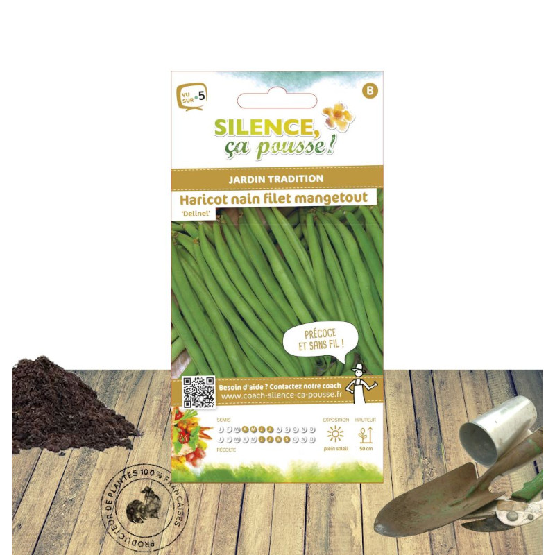 Graines de Haricot Nain mangetout Delinel