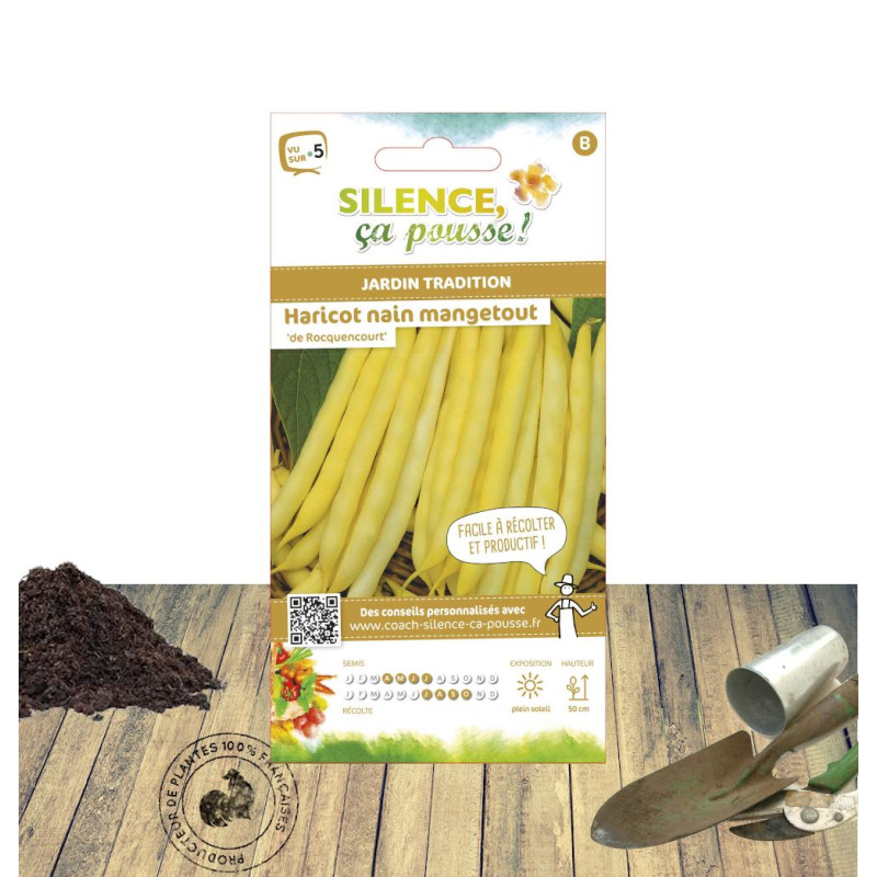 Graines de Haricot Nain mangetout beurre De Rocquencourt