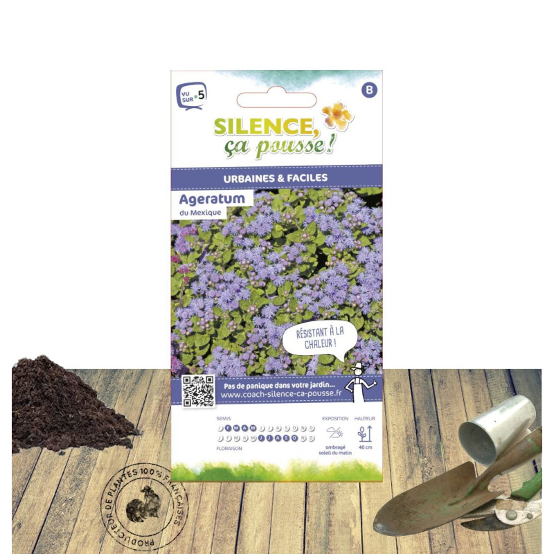 Graines d'Ageratum Bleu