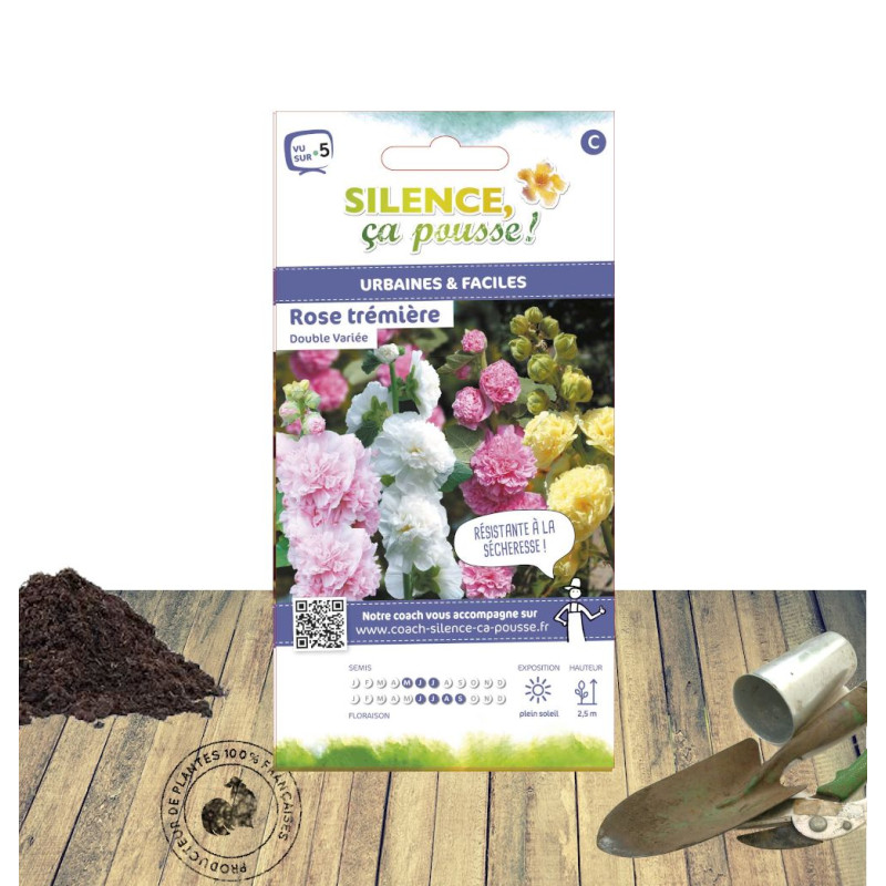 Graines de Rose trémière doubles grandes variées