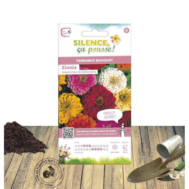 Graines de Zinnia à fleur de dahlia variée