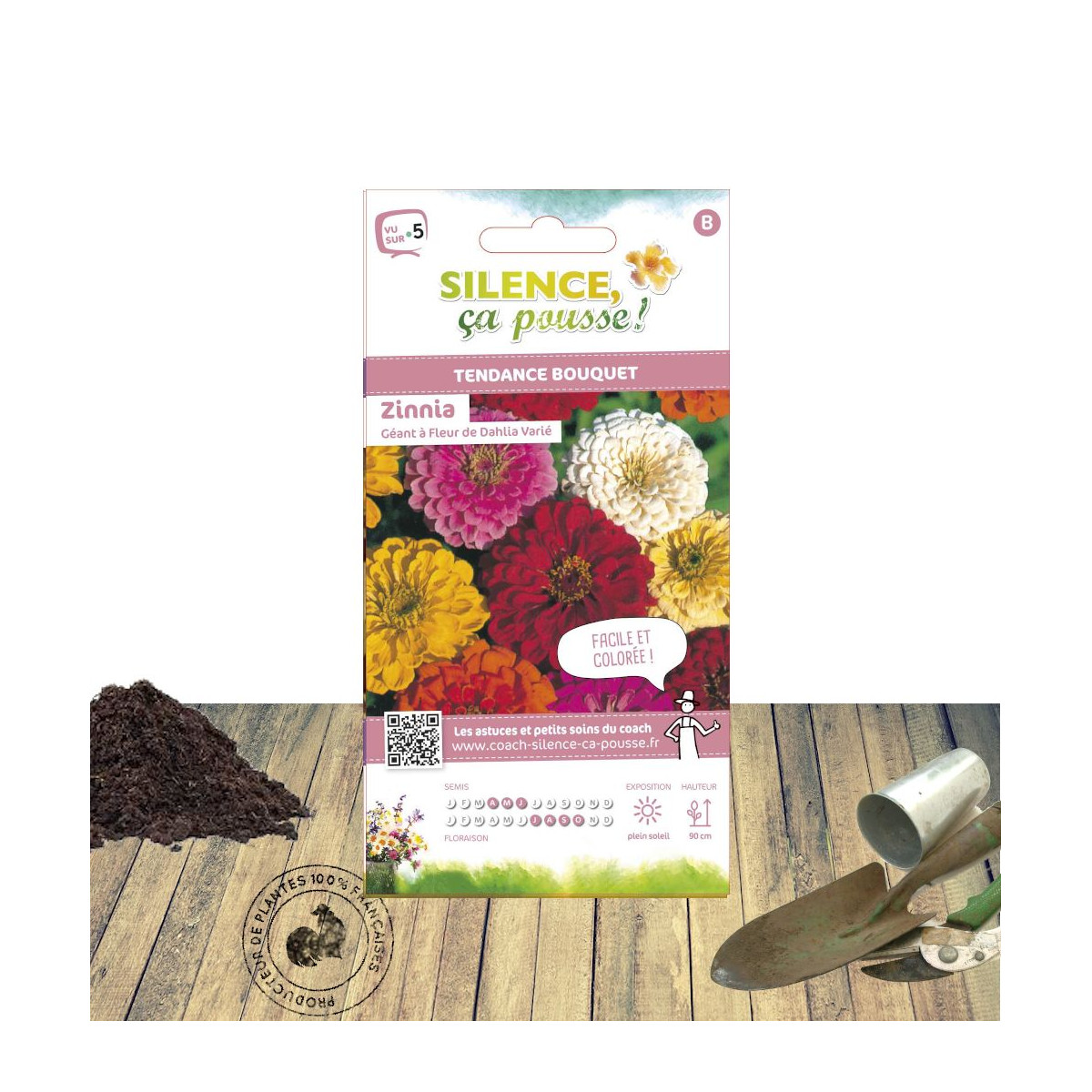 Graines de Zinnia à fleur de dahlia variée