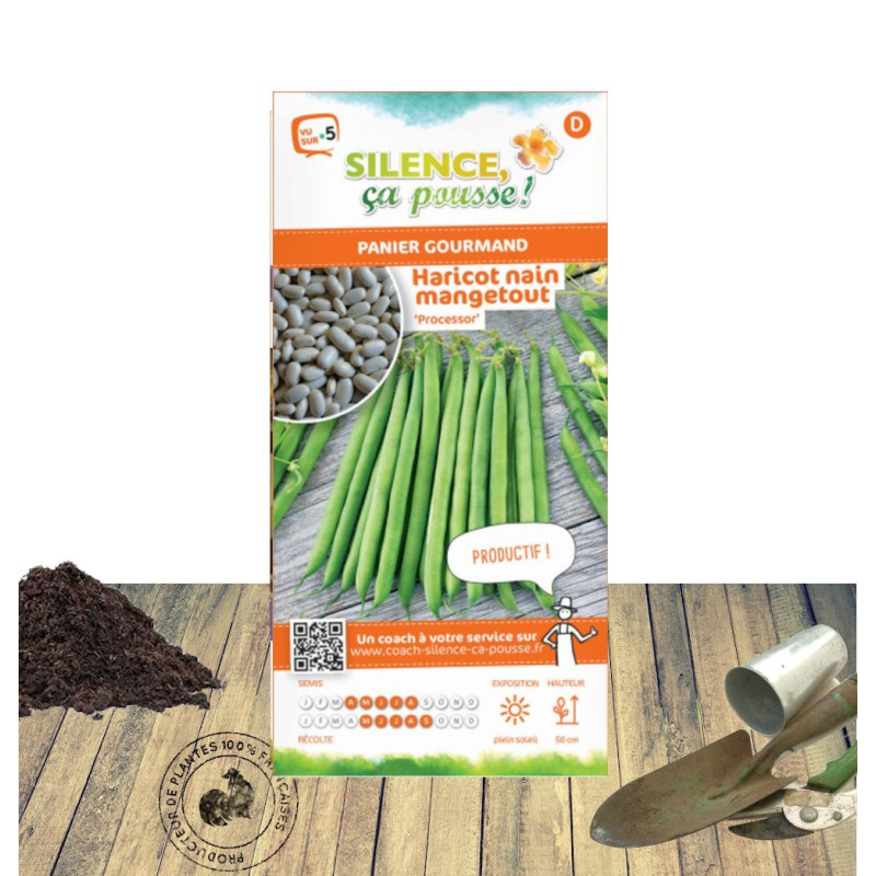 Graines de Haricot Nain mangetout Processor