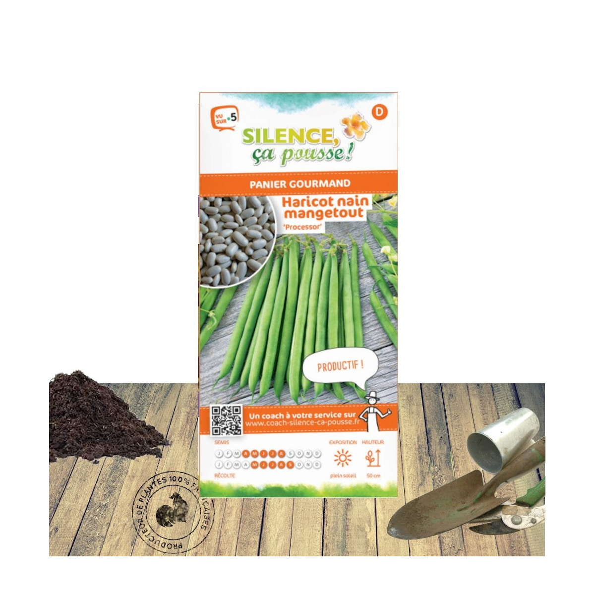 Graines de Haricot Nain mangetout Processor