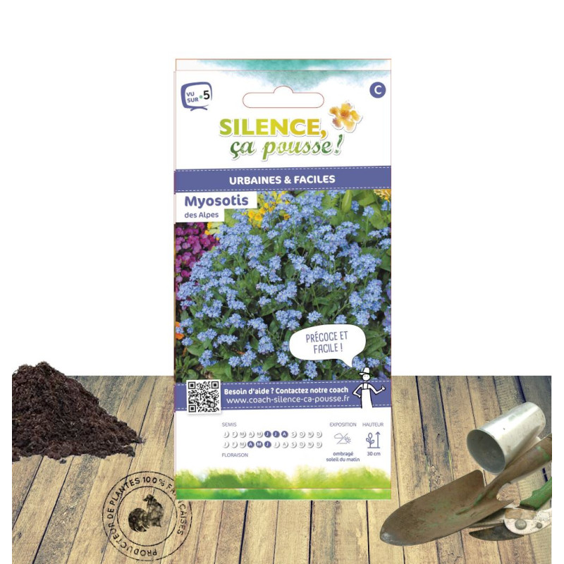 Graines de myosotis des Alpes