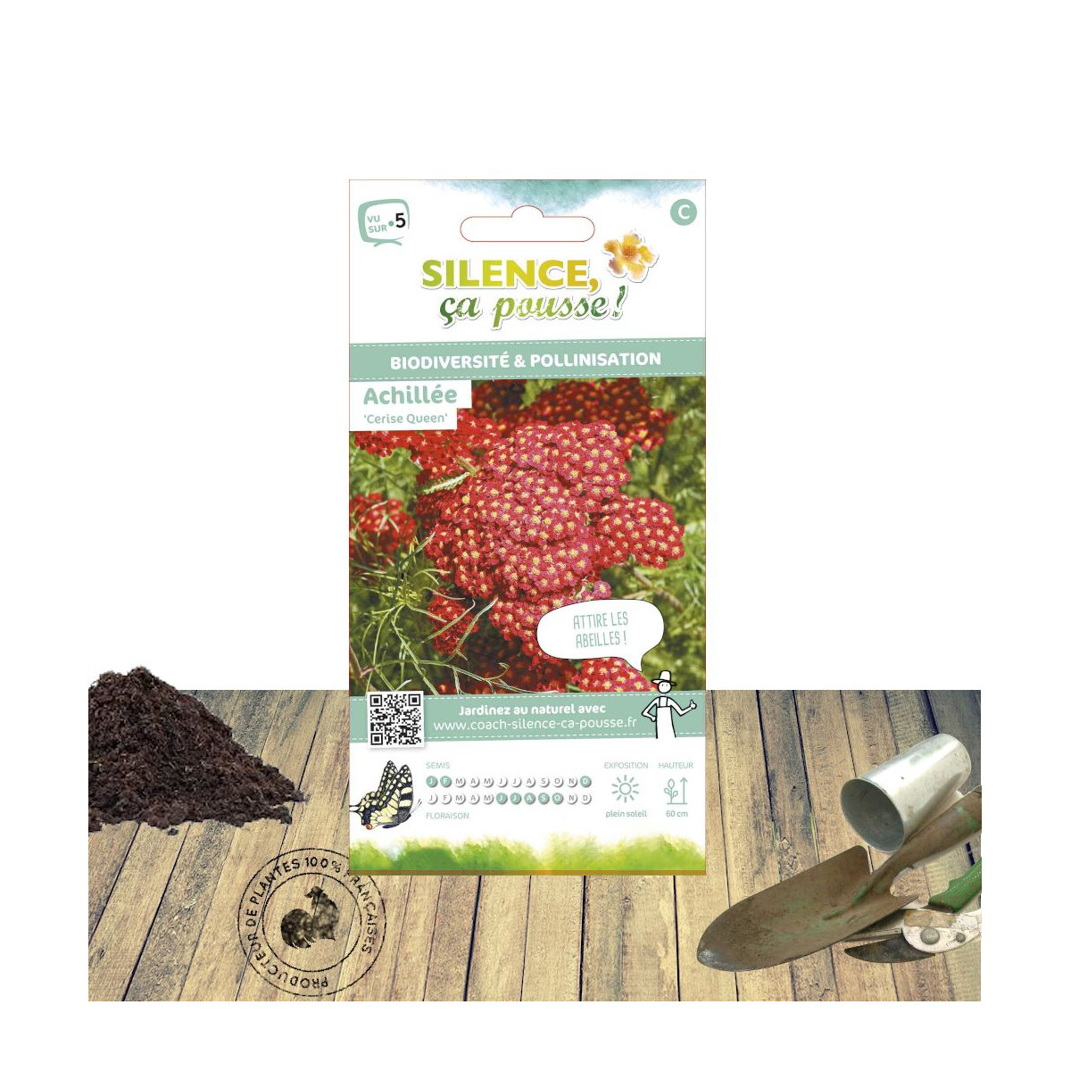 Graines d'Achillée millefeuille Cerise Queen