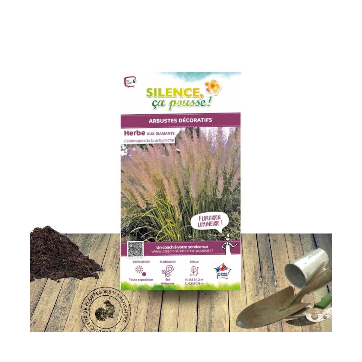 Calamagrostis brachytricha - Herbe aux diamants - SILENCE, ça pousse !