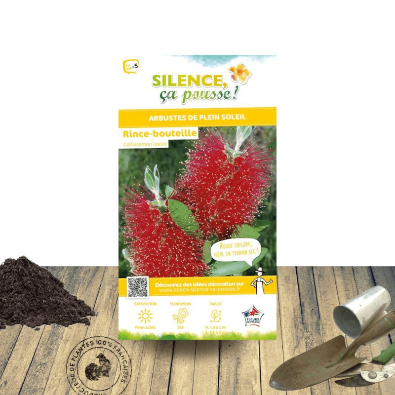 Rince-bouteilles - SILENCE, ça pousse !, Callistemon