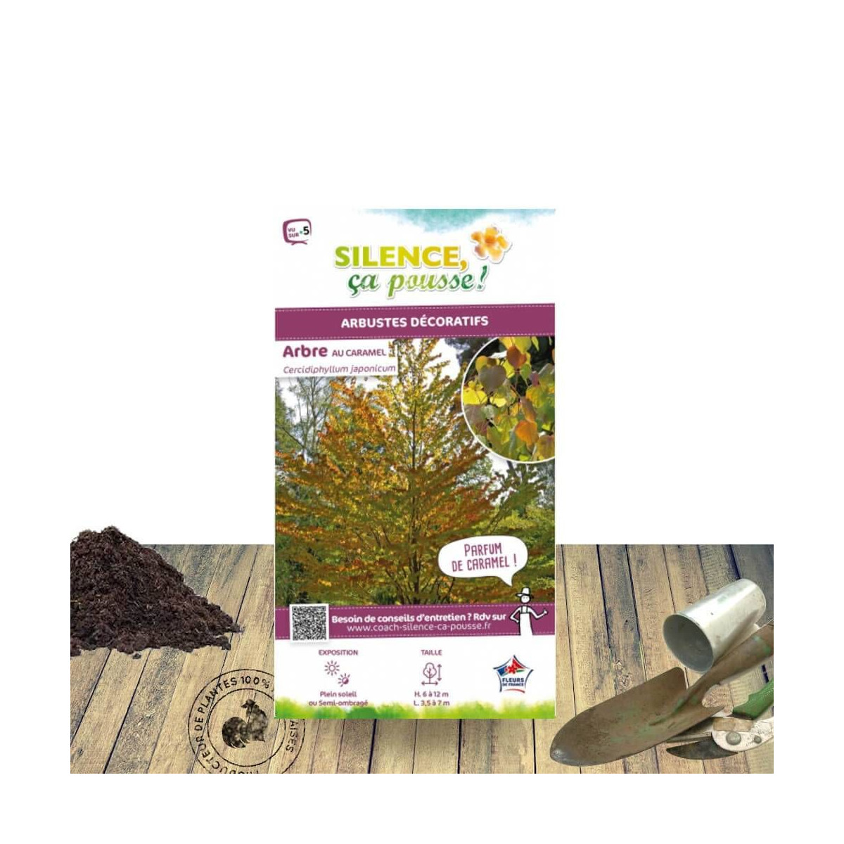 Arbre à caramel - SILENCE, ça pousse !