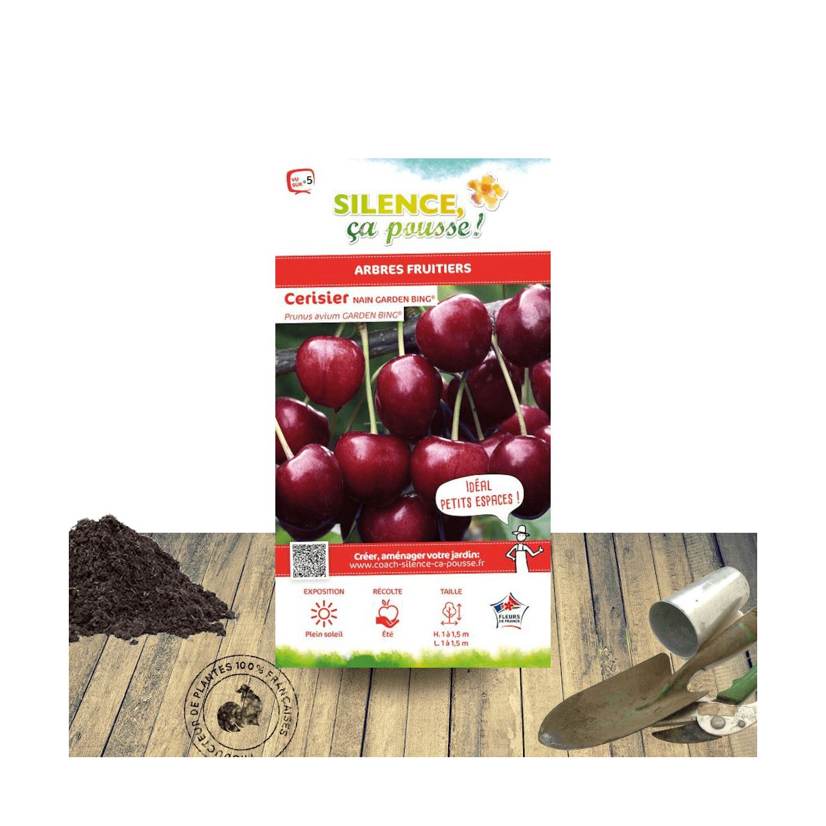 Cerisier nain Garden Bing® - SILENCE, ça pousse !