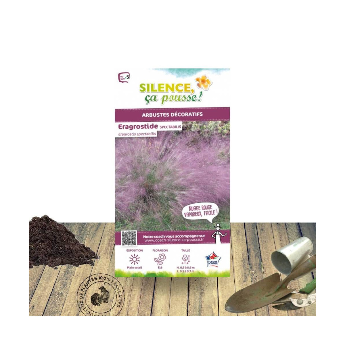 Eragrostis spectabilis - SILENCE, ça pousse !