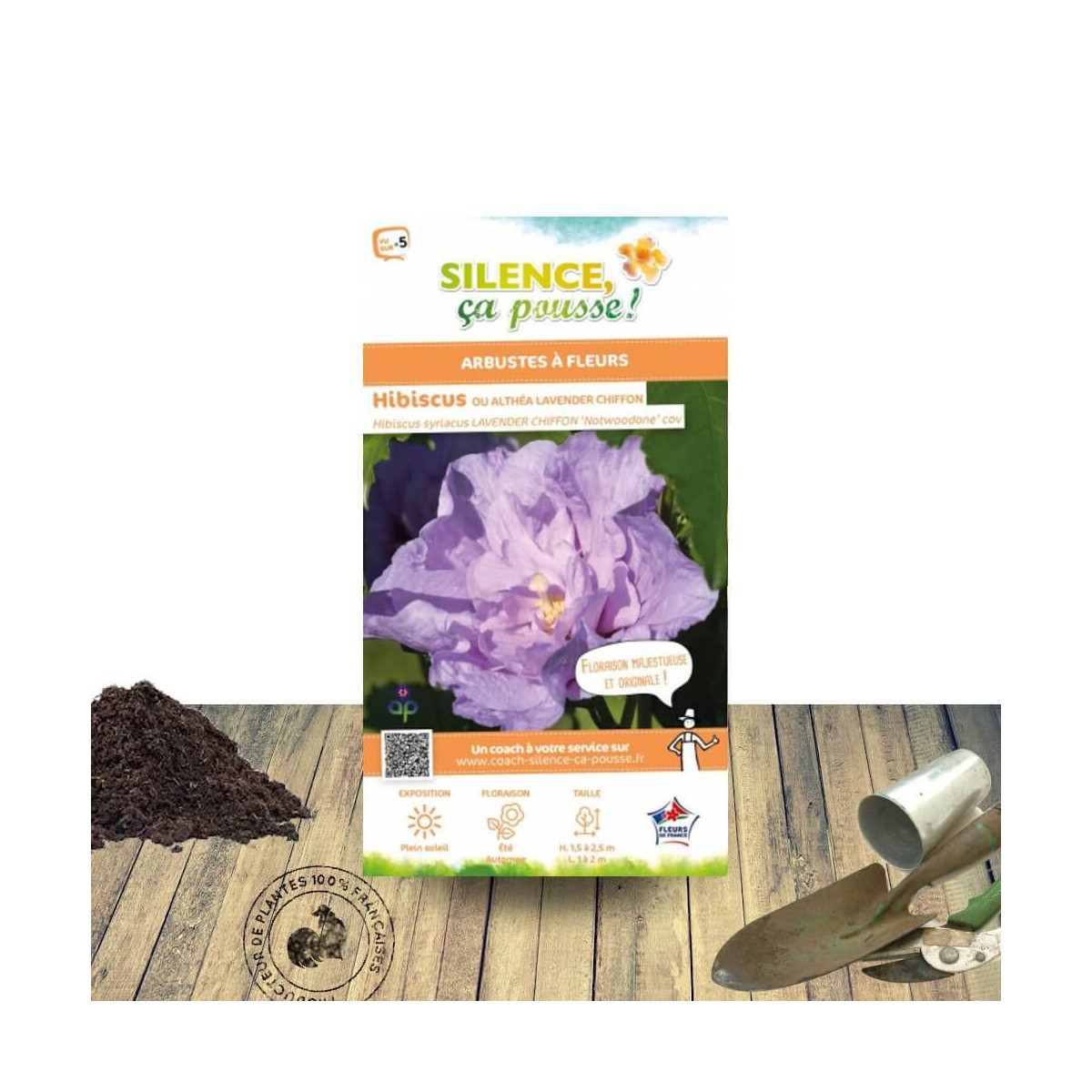 Hibiscus Lavander Chiffon® 'Notwoodone' - SILENCE, ça pousse !, Althéa