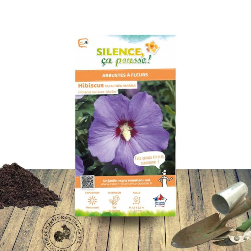 Hibiscus Marina - SILENCE, ça pousse !, Althéa