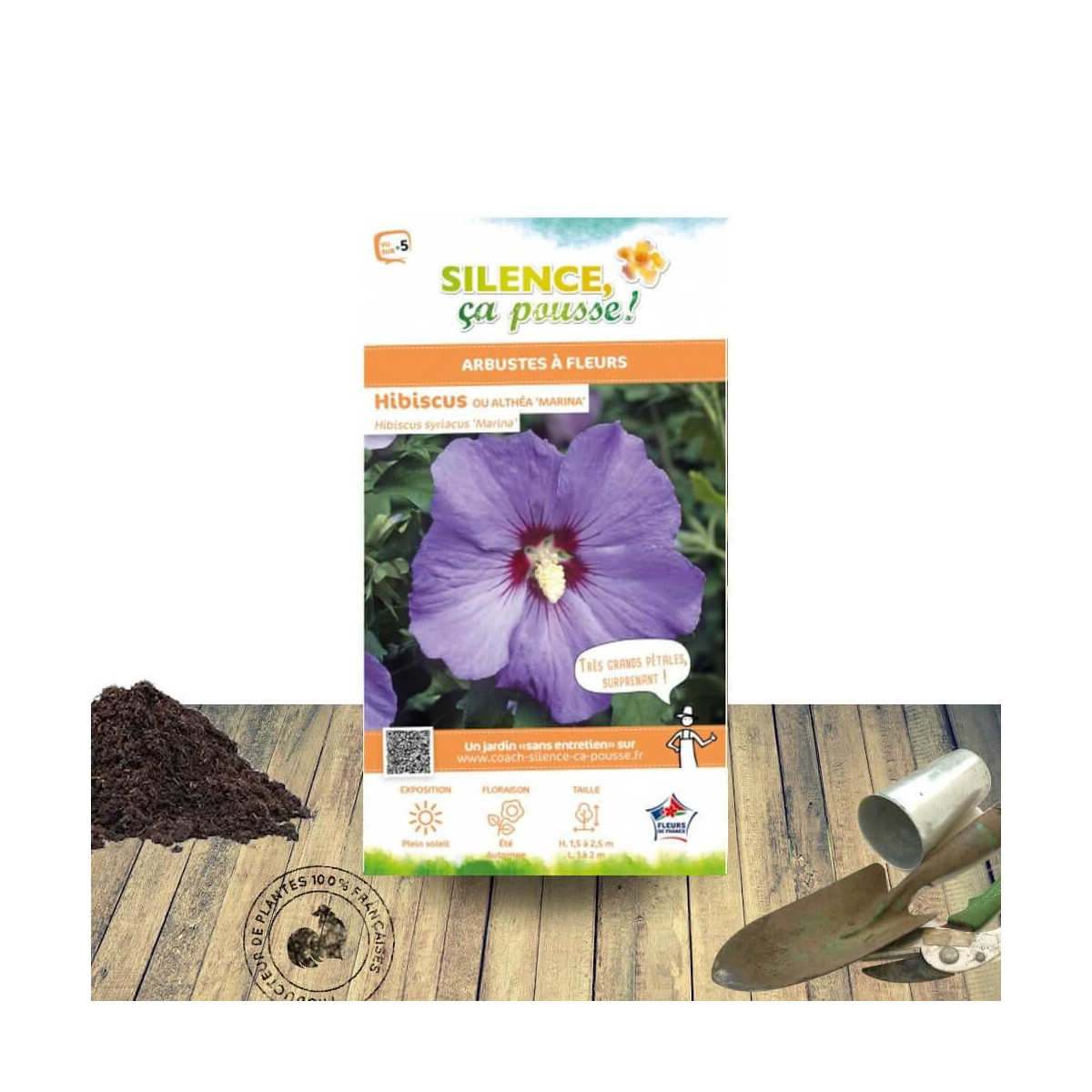 Hibiscus Marina - SILENCE, ça pousse !, Althéa