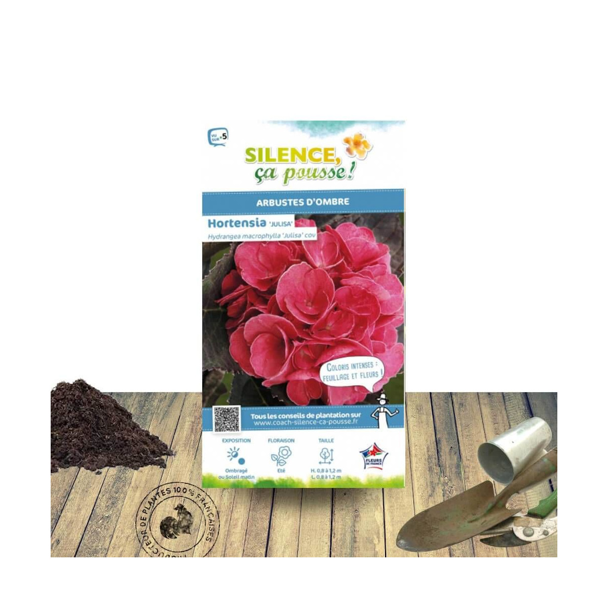 Hortensia Julisa - SILENCE, ça pousse !, Hydrangea macrophylla