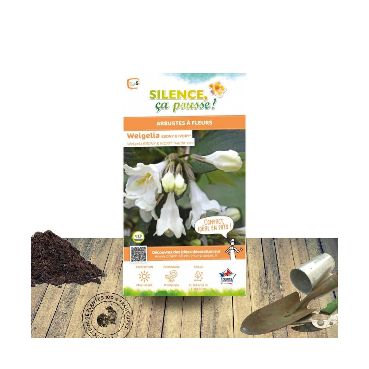 Weigela Ebony & ivory® - SILENCE, ça pousse !, Weigelia
