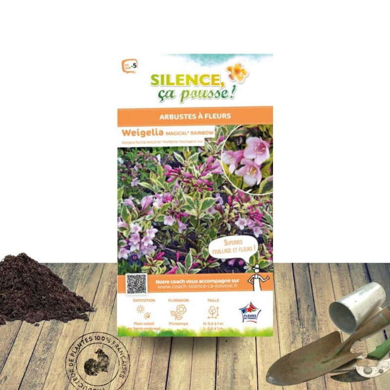 Weigela Magical® Rainbow - SILENCE, ça pousse !, Weigelia