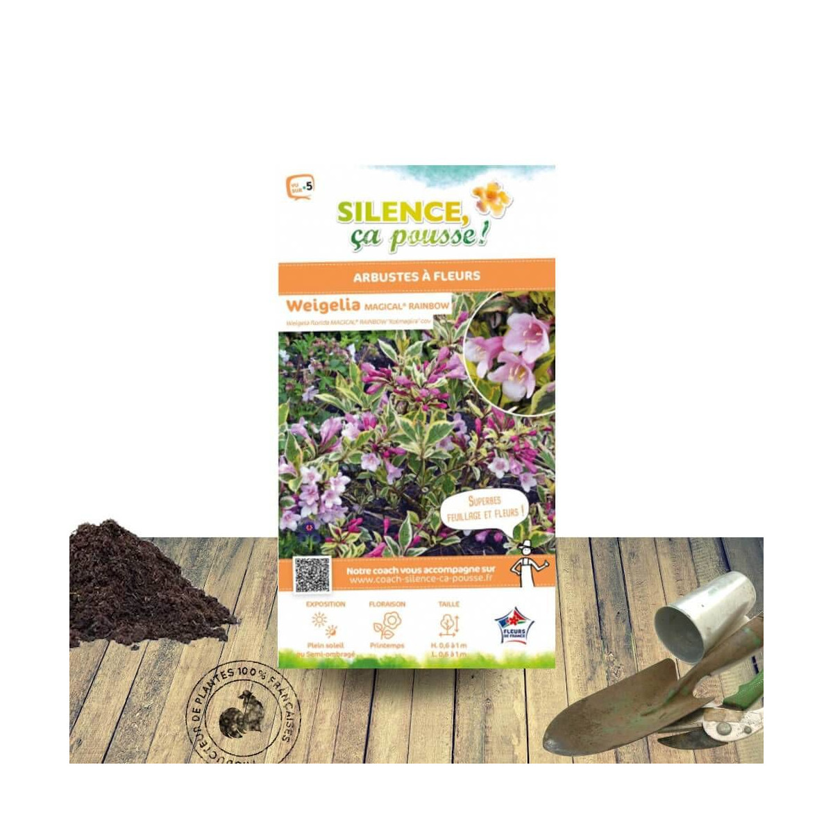 Weigela Magical® Rainbow - SILENCE, ça pousse !, Weigelia