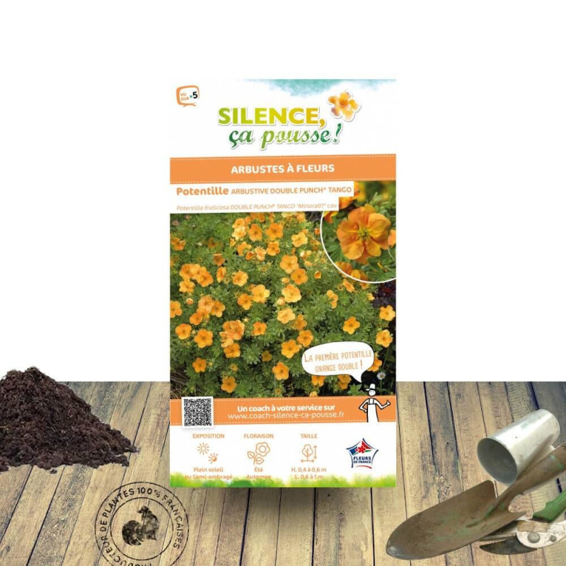 Potentille arbustive Double Punch® Tango - SILENCE, ça pousse !, Potentilla